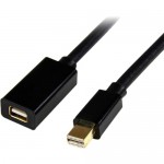 StarTech 6 ft Mini DisplayPort 1.2 Video Extension Cable M/F - Mini DisplayPort 4k MDPEXT6