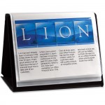 Lion Flip-N-Tell Display Easel Book 39008-H
