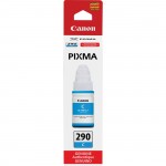 Canon PIXMA GI-290 Ink Bottle GI290C