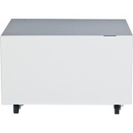 Lexmark Printer Cabinet with Casters 24Z0031
