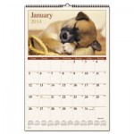 At-A-Glance Puppies Monthly Wall Calendar, 15 1/2 x 22 3/4, 2016 AAGDMW16728