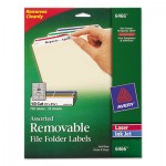 Avery Removable File Folder Labels, Inkjet/Laser, 2/3 x 3 7/16, Assorted, 750/Pack AVE6466
