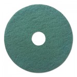 PAD 4018 GRE Standard 18-Inch Diameter Heavy-Duty Scrubbing Floor Pads, Green, 5/Carton BWK4018GRE