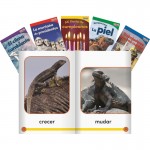 Shell TIME For Kids Informational Text Grade K Readers Set 3 10-Book Spanish Set 25856