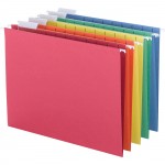 Business Source 1/8-cut Tab Slots Hanging File Folder 5215AST