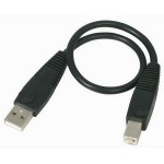 StarTech 1 ft USB 2.0 A to B Cable - M/M USB2HAB1