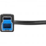 Targus 1-Meter USB-C to USB-B 5Gbps Cable ACC924USX