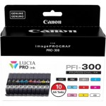 Canon 10-Color Ink Value Pack 4192C007
