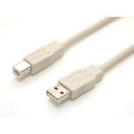 StarTech 10 ft Beige A to B USB 2.0 Cable - M/M USBFAB_10