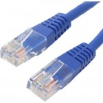 4XEM 100FT Cat6 Molded RJ45 UTP Ethernet Patch Cable (Blue) 4XC6PATCH100BL