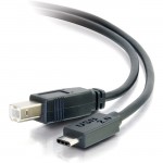 10ft USB 2.0 USB-C to USB-B Cable M/M - Black 28860