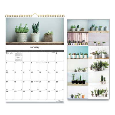 Blueline 12-Month Wall Calendar, 12 x 17, Succulent Plants, 2021 REDC173121