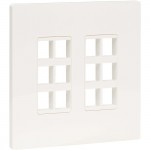 Tripp Lite 12-Port Keystone Double-Gang Faceplate, White, TAA N080-212