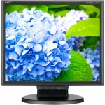 NEC Display 17" Desktop Monitor with LED Backlighting E172M-BK