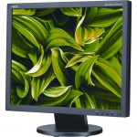 NEC Display 19" Value Desktop Monitor with LED Backlighting AS194MI-BK