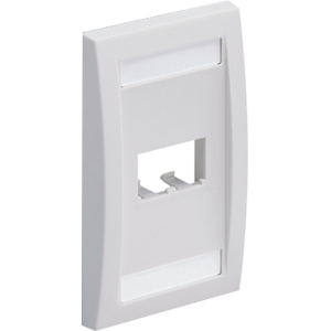 Panduit 2-Socket Faceplate CFPE2EIY