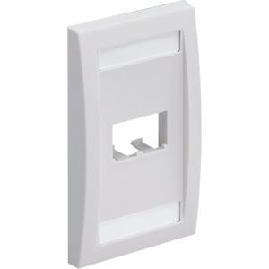 Panduit 2-Socket Faceplate CFPE2IWY