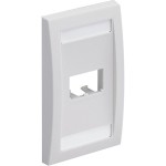 Panduit 2-Socket Faceplate CFPE2IWY