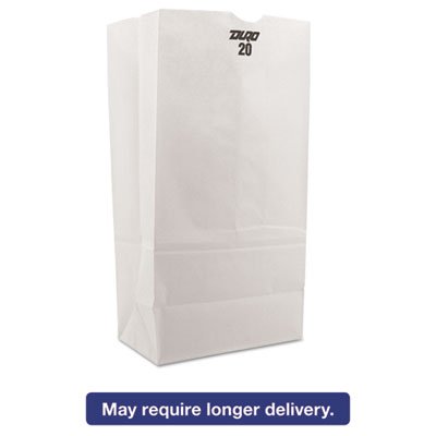51040 #20 Paper Grocery Bag, 40lb White, Standard 8 1/4 x 5 5/16 x 16 1/8, 500
