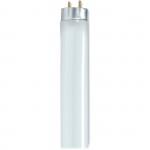 Satco 25-watt 48" T8 Fluorescent Bulb S8440