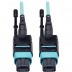 2M (6.56-ft.) MTP / MPO Fan-out Cable, MTP/MPO to 8 x LC, 40GbE OM3 Plenum N844-02M