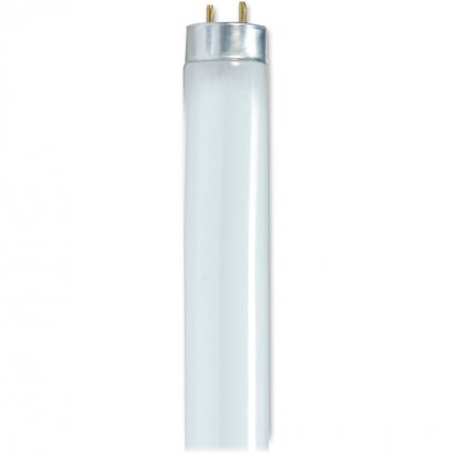 Satco 32-watt 48" T8 Fluorescent Bulbs S8449