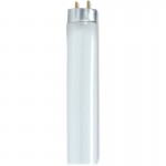 Satco 32-watt 48" T8 Fluorescent Bulbs S8449