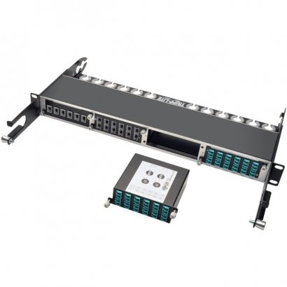 Tripp Lite 40Gb to 10Gb Breakout Cassette, (x2) 12-Fiber MTP/MPO to ( x12 ) LC Duplex N484-2M12-LC12