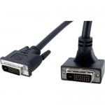 StarTech 6 ft 90 Degree Down Angled DVI-D Monitor Cable M/M DVIDDMMBA6