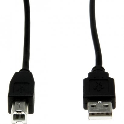 Rocstor 6 ft USB 2.0 Type-A to Type-B Cable - M/M Y10C116-B1