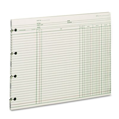 Wilson Jones WGN2DA Accounting, 9-1/4 x 11-7/8, 100 Loose Sheets/Pack WLJGN2D