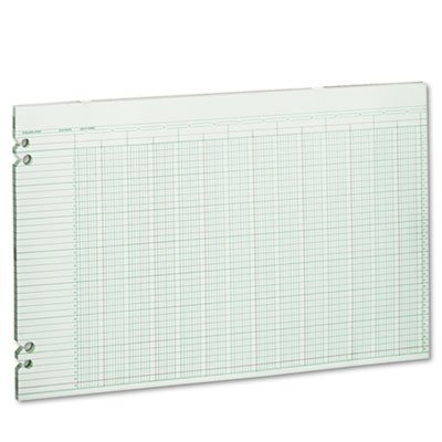 Wilson Jones WG50-24A Accounting Sheets, 24 Columns, 11 x 17, 100 Loose Sheets/Pack, Green WLJG5024