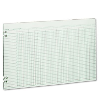 Wilson Jones WG50-24A Accounting Sheets, 24 Columns, 11 x 17, 100 Loose Sheets/Pack, Green WLJG5024