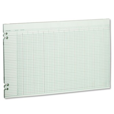 Wilson Jones WG50-30A Accounting Sheets, 30 Columns, 11 x 17, 100 Loose Sheets/Pack, Green WLJG5030