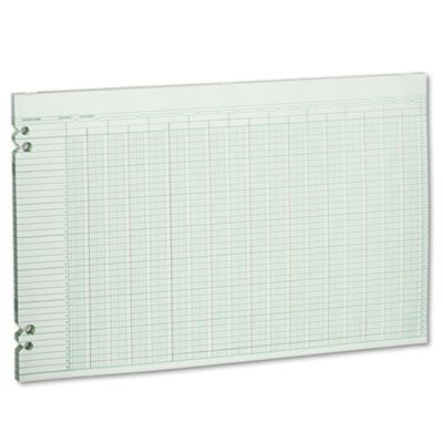 Wilson Jones WG50-30A Accounting Sheets, 30 Columns, 11 x 17, 100 Loose Sheets/Pack, Green WLJG5030