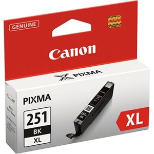 Canon Black Ink Tank 6513B001