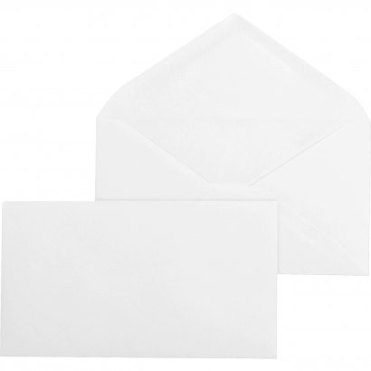 Business Source Business Envelope 04469