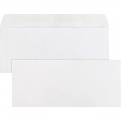 Business Source Business Envelope 04646