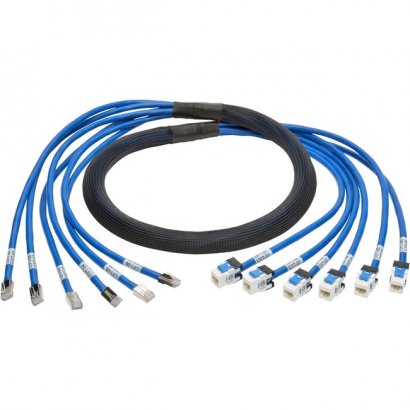 Tripp Lite Cat.6a Patch Network Cable N261-010-6MF-BL