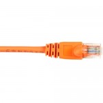 Black Box CAT6 Value Line Patch Cable, Stranded, Orange, 6-ft. (1.8-m) CAT6PC-006-OR