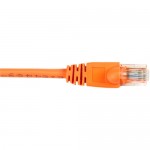 Black Box CAT6 Value Line Patch Cable, Stranded, Orange, 1-ft. (0.3-m) CAT6PC-001-OR