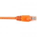 Black Box CAT6 Value Line Patch Cable, Stranded, Orange, 5-ft. (1.5-m) CAT6PC-005-OR