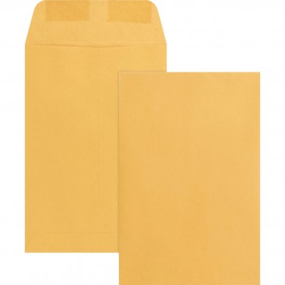 Business Source Catalog Envelope 42099