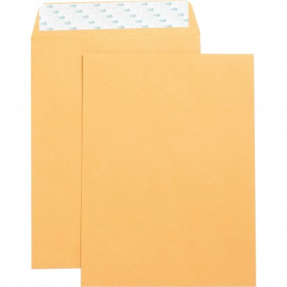 Business Source Catalog Envelope 42120