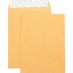 Business Source Catalog Envelope 42120