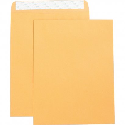 Business Source Catalog Envelope 42121