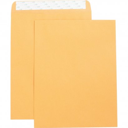 Business Source Catalog Envelope 42121