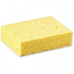Cellulose Sponge C31CT