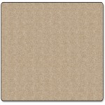 Classic Solid Color 12' Sqre Rug AS70AL