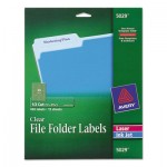 Avery Clear File Folder Labels, 1/3 Cut, 2/3 x 3 7/16, 450/Pack AVE5029